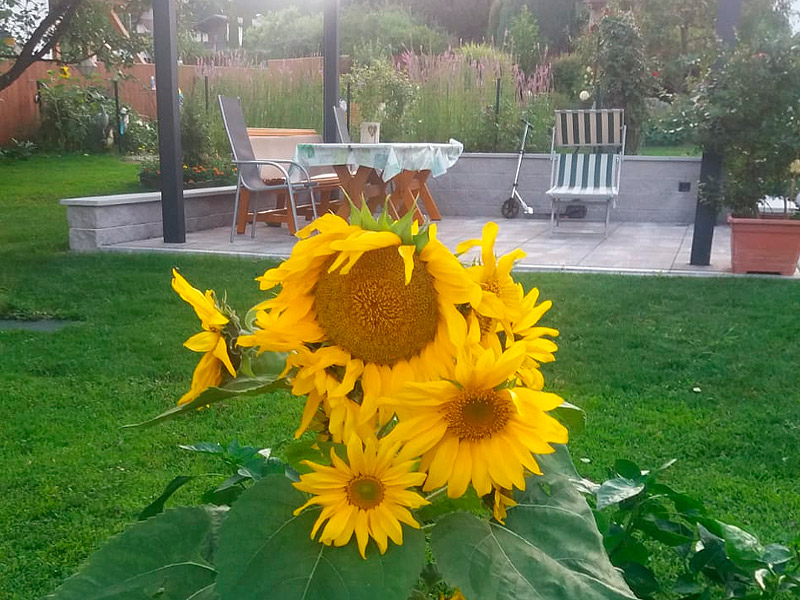 Unser Garten